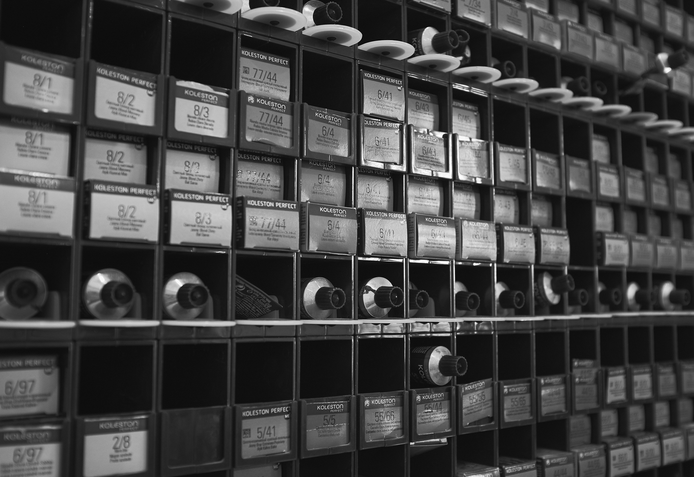 Frizz Me Tomasz Górecki branding by DOGZ.design