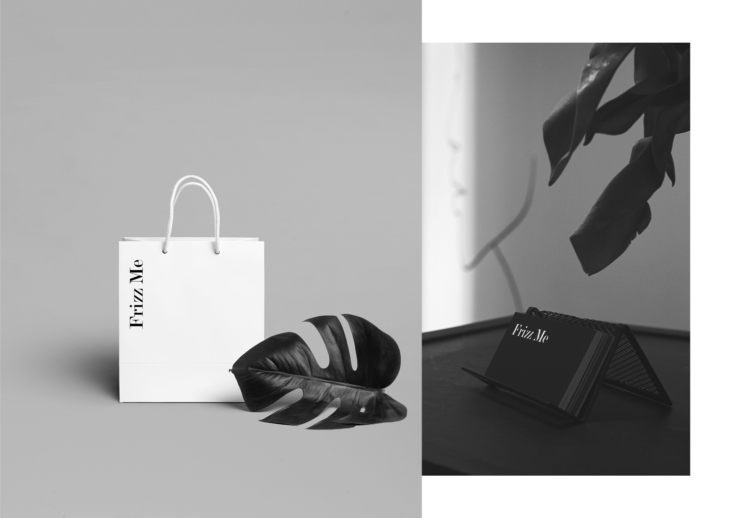 Frizz Me Tomasz Górecki branding by DOGZ.design