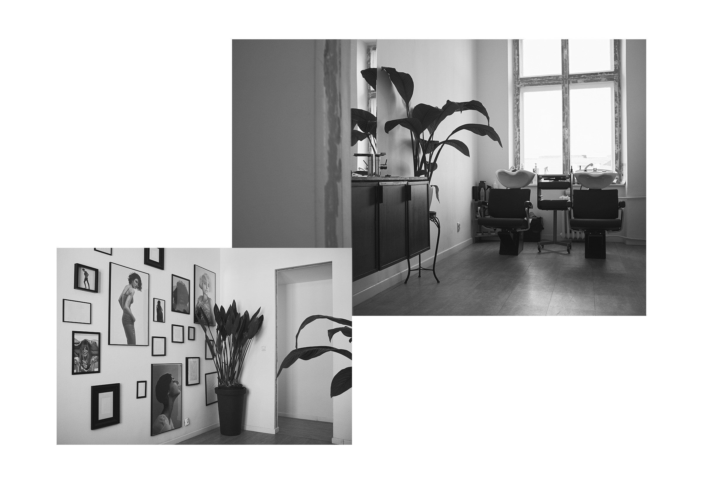 Frizz Me Tomasz Górecki branding by DOGZ.design