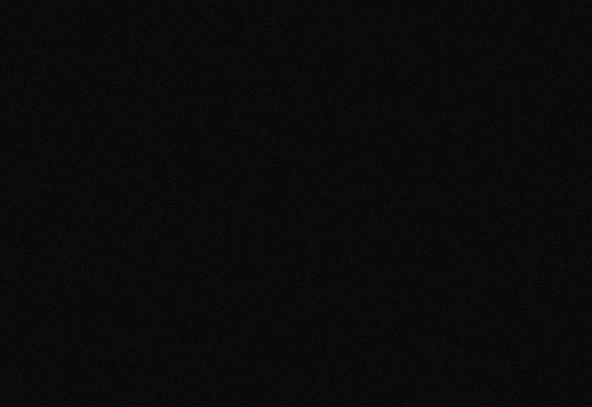 Science Now branding by DOGZ.design